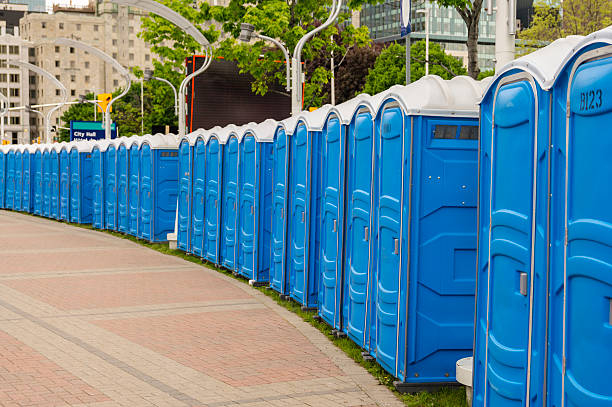 Best Portable Toilets with Baby Changing Stations  in Donna, TX